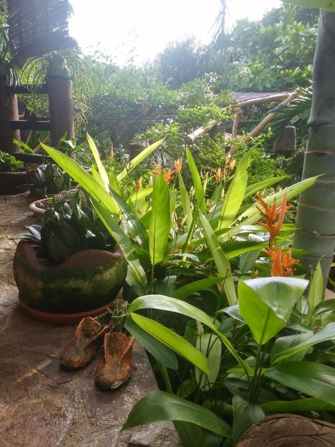 Posada Olivo Mazunte Buitenkant foto