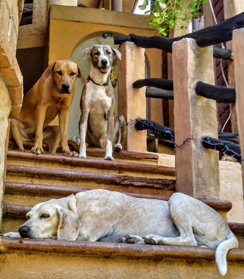 Posada Olivo Mazunte Buitenkant foto