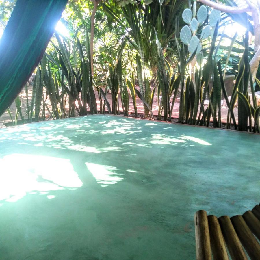 Posada Olivo Mazunte Buitenkant foto