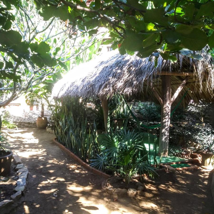 Posada Olivo Mazunte Buitenkant foto