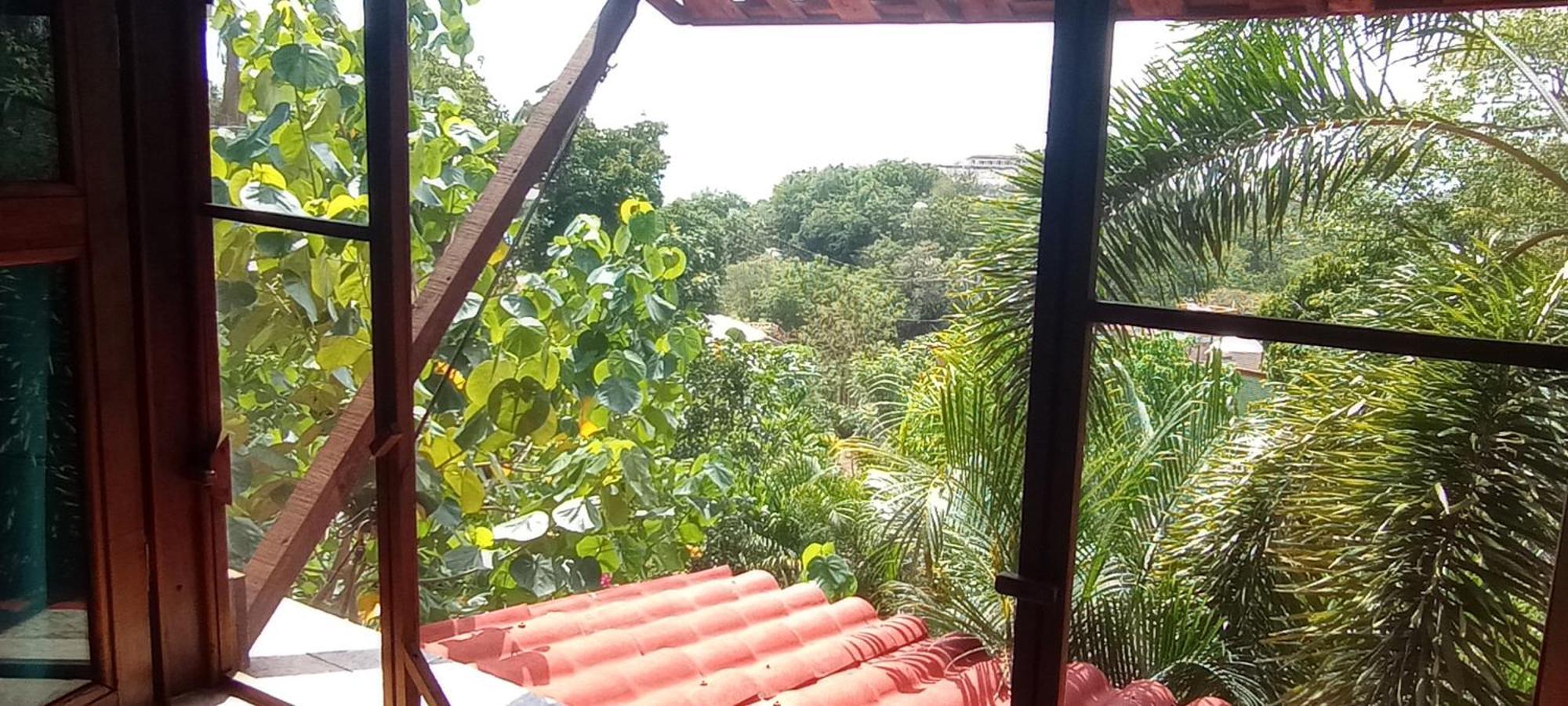 Posada Olivo Mazunte Buitenkant foto