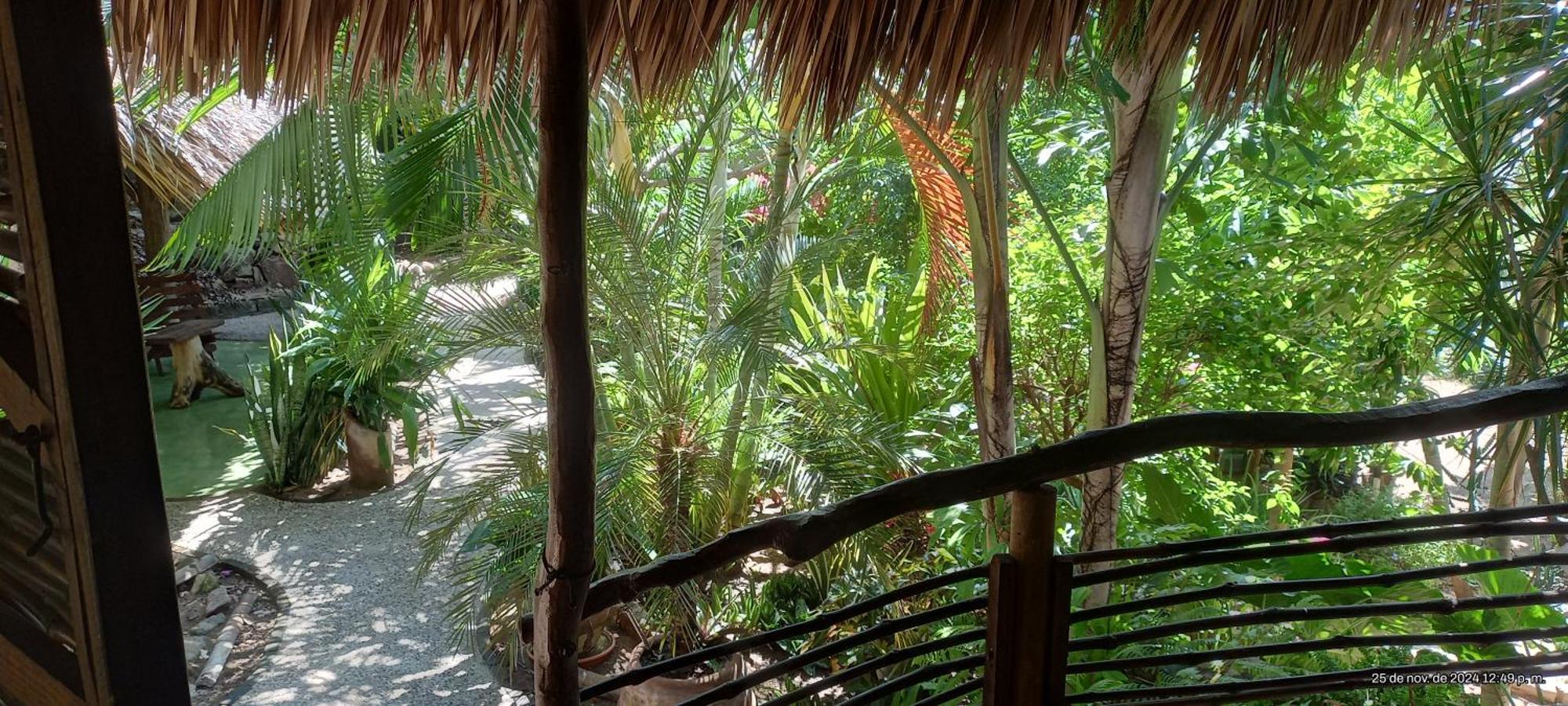 Posada Olivo Mazunte Buitenkant foto