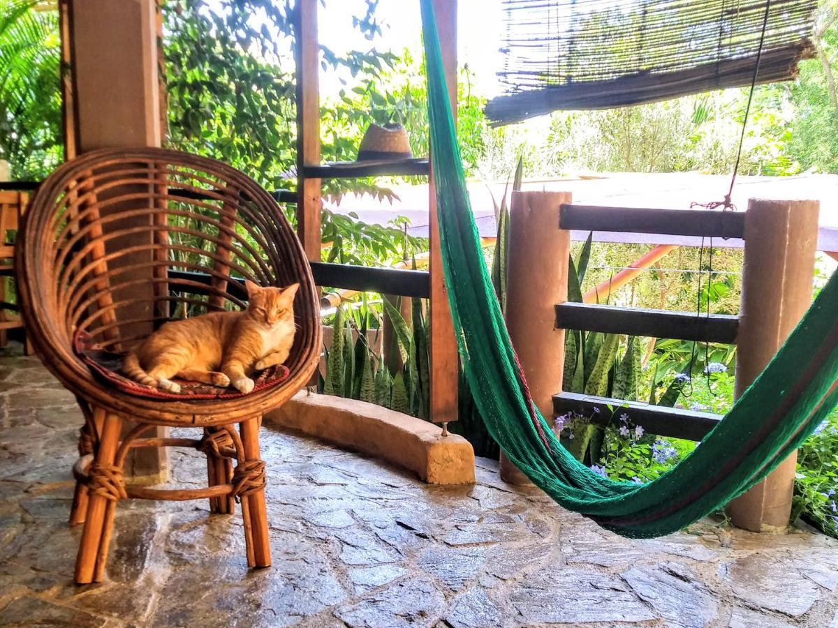 Posada Olivo Mazunte Buitenkant foto